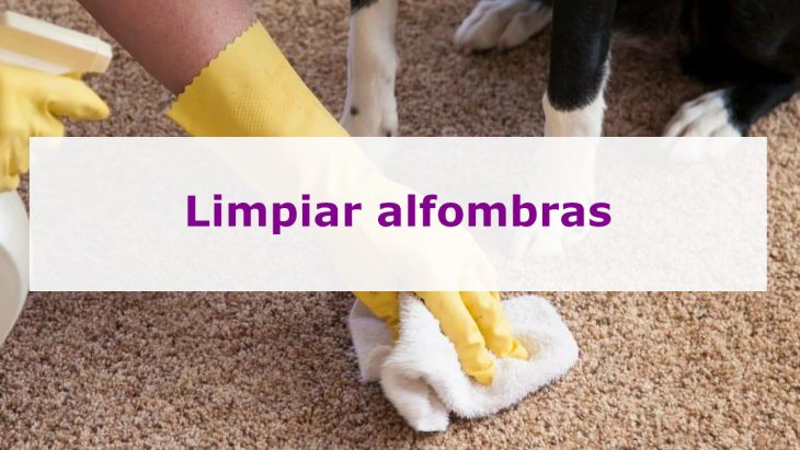 Limpiar alfombras