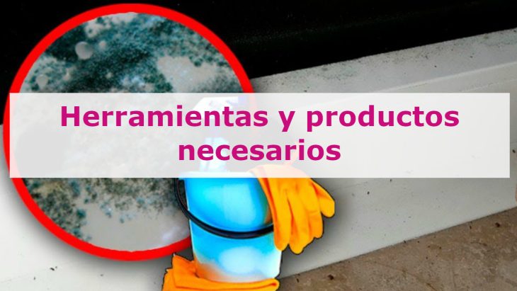 Herramientas y productos necesarios