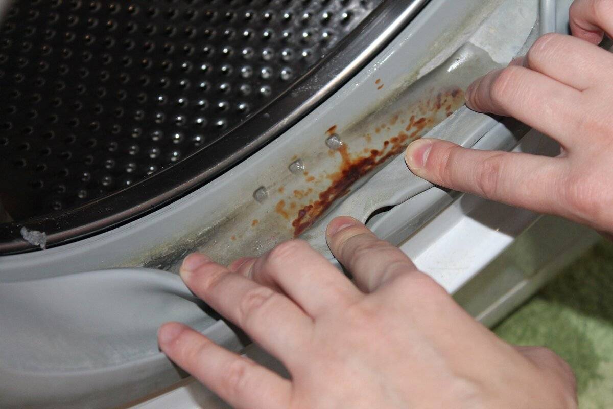 La guía definitiva para limpiar la lavadora y evitar malos olores