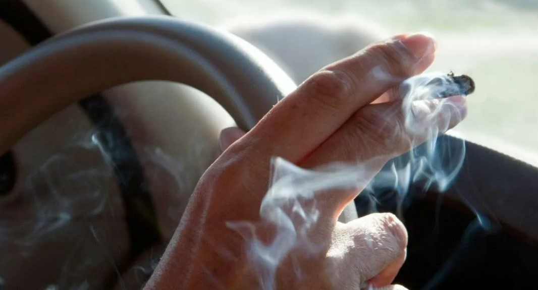 Eliminar olor a tabaco en el coche.