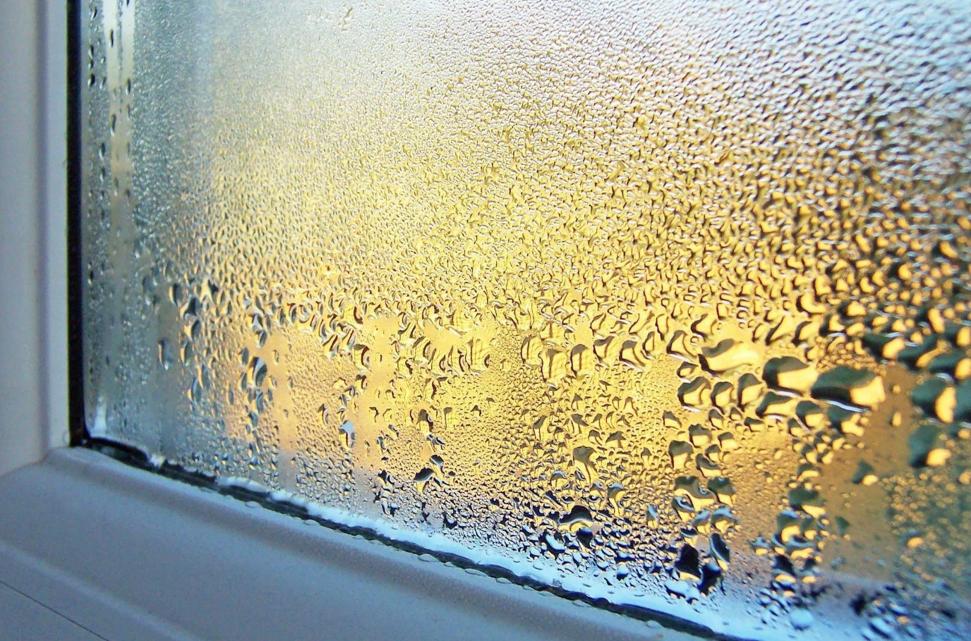 Guía rápida: cómo mantener tu casa libre de condensación