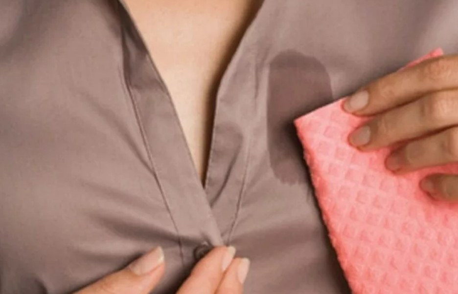  ¿Por qué la grasa causa manchas tan persistentes en la ropa?