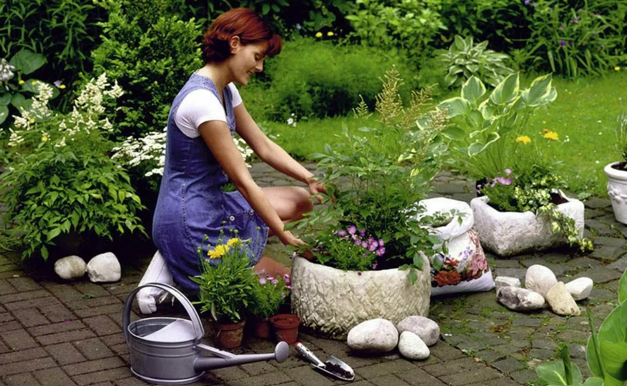Limpiar y ordenar: transforma tu jardín en un fin de semana