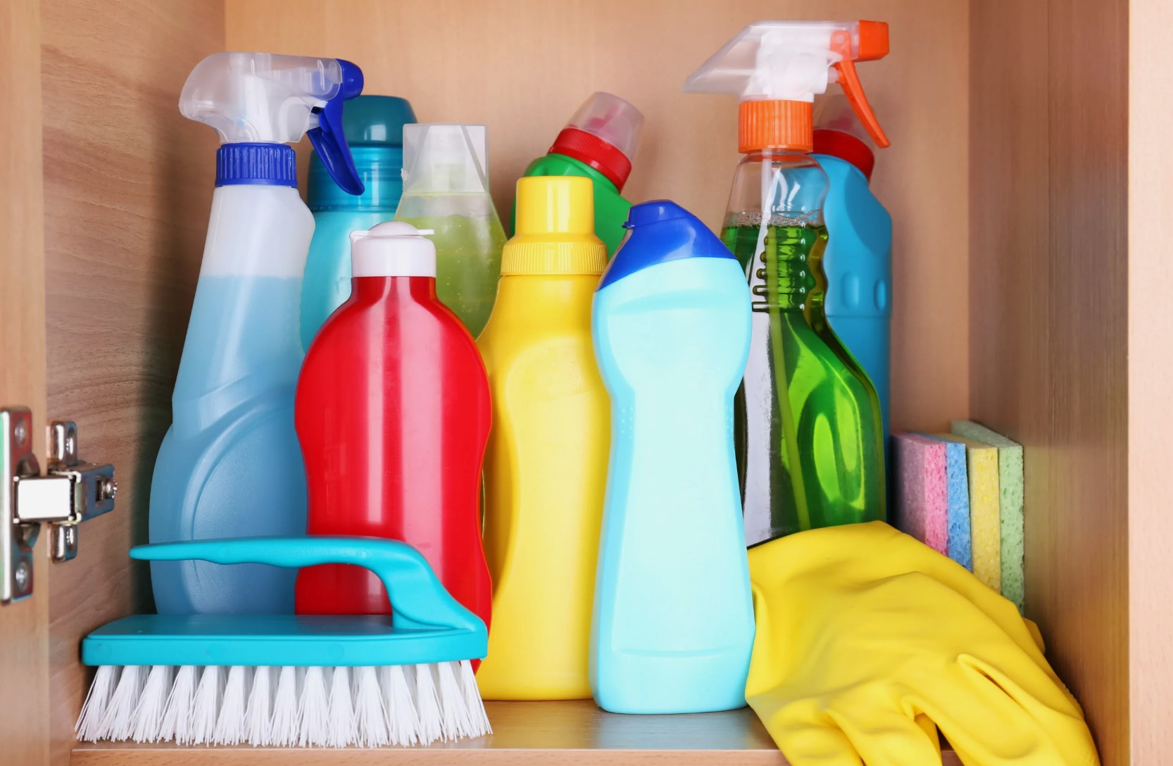Origen y evolución de los productos de limpieza domésticos.