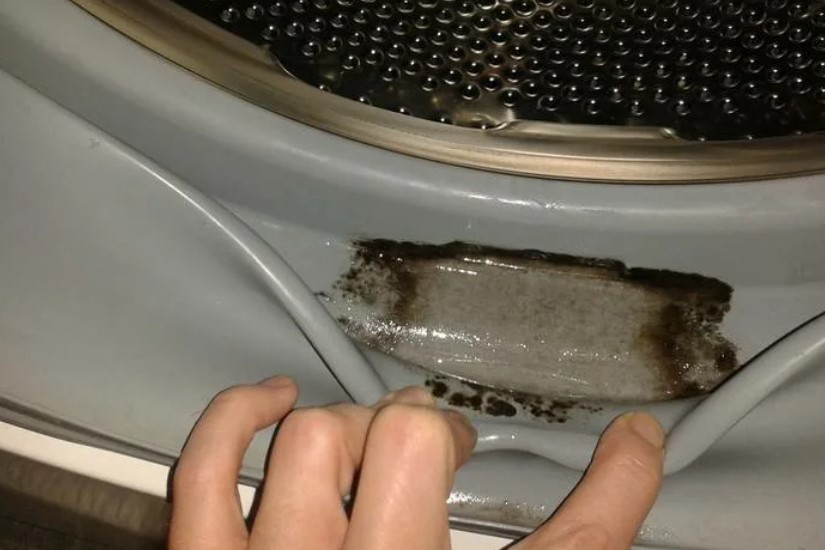 Breve descripción del problema: la aparición de moho en las lavadoras.